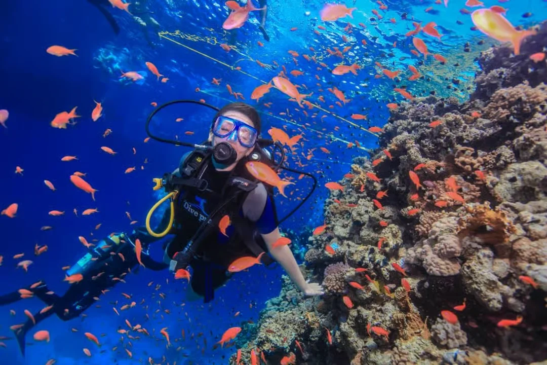 Tiran Island Snorkeling Cruise
