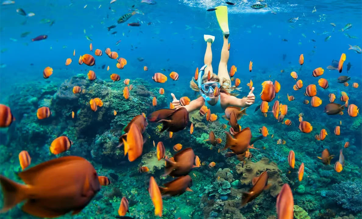Ras Mohammed National Park – Half-Day Bus Tour