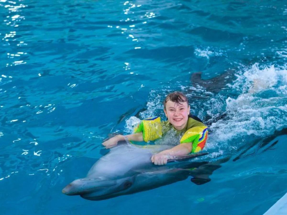 Swim with Dolphins – 15 Minutes