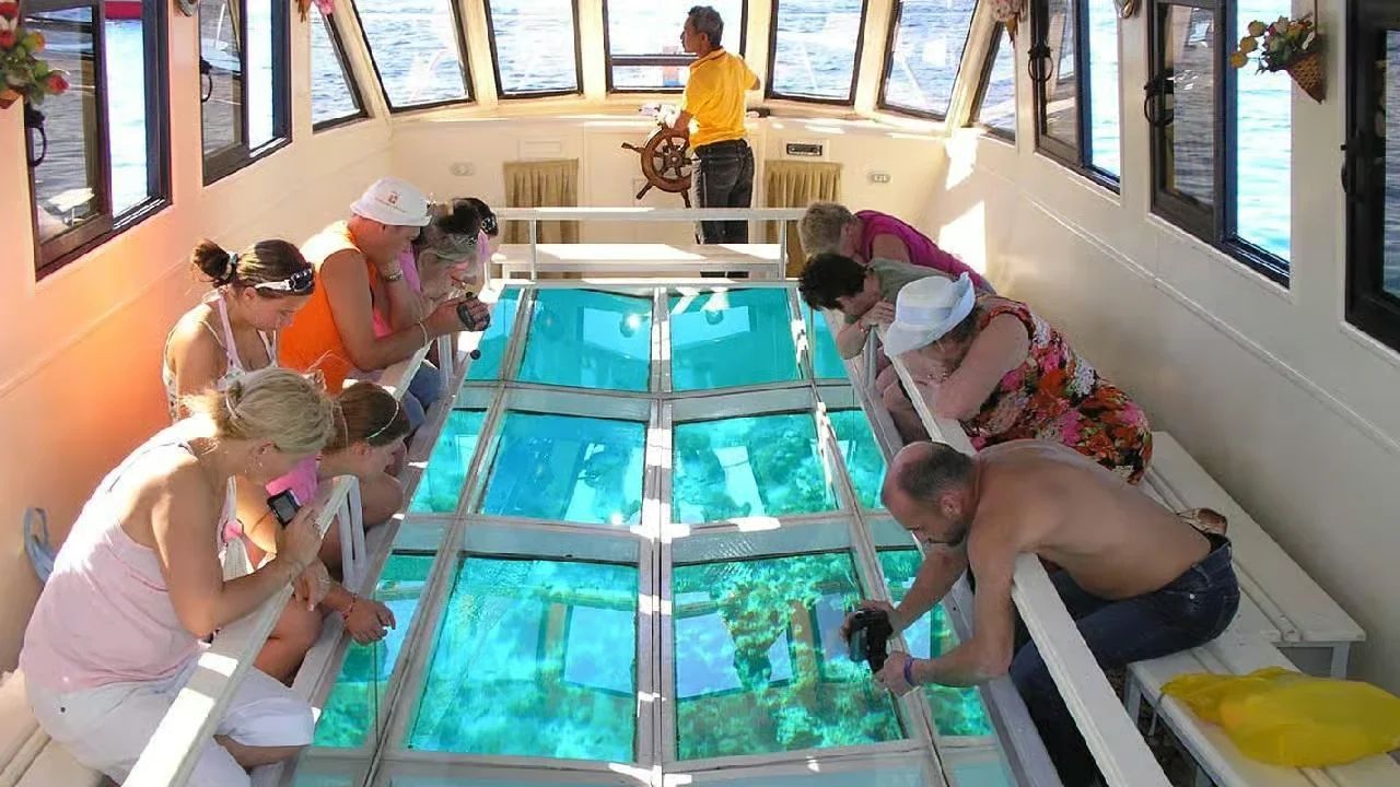 Glass Bottom Boat Tour