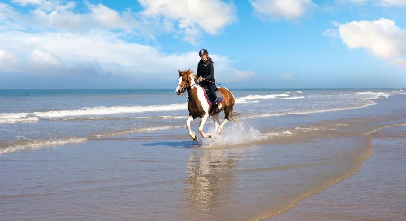Horse Riding Safari – Desert or Sea